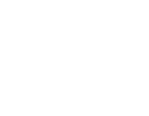 Captios Partners logo