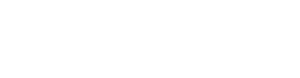 Visum logo