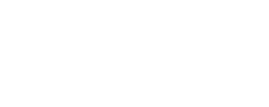 Vital Junction logo